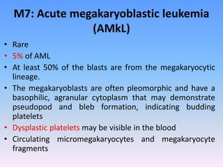 M7: Acute megakaryoblastic leukemia
(AMkL)
• Rare
• 5% of AML
• At least 50% of the blasts are from the megakaryocytic
lineage.
• The megakaryoblasts are often pleomorphic and have a
basophilic, agranular cytoplasm that may demonstrate
pseudopod and bleb formation, indicating budding
platelets
• Dysplastic platelets may be visible in the blood
• Circulating micromegakaryocytes and megakaryocyte
fragments
 