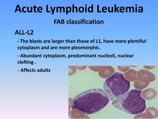 Acute Lymphoid Leukemia
FAB classification
ALL-L2
- The blasts are larger than those of L1, have more plentiful
cytoplasm and are more pleomorphic.
- Abundant cytoplasm, predominant nucleoli, nuclear
clefting .
- Affects adults
 