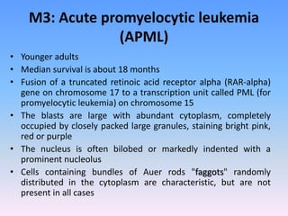 M3: Acute promyelocytic leukemia
(APML)
• Younger adults
• Median survival is about 18 months
• Fusion of a truncated reti...