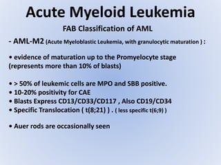 Acute Myeloid Leukemia
FAB Classification of AML
- AML-M2 (Acute Myeloblastic Leukemia, with granulocytic maturation ) :
• evidence of maturation up to the Promyelocyte stage
(represents more than 10% of blasts)
• > 50% of leukemic cells are MPO and SBB positive.
• 10-20% positivity for CAE
• Blasts Express CD13/CD33/CD117 , Also CD19/CD34
• Specific Translocation ( t(8;21) ) . ( less specific t(6;9) )
• Auer rods are occasionally seen
 