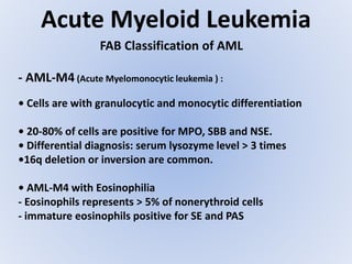 Acute Myeloid Leukemia
FAB Classification of AML
- AML-M4 (Acute Myelomonocytic leukemia ) :
• Cells are with granulocytic and monocytic differentiation
• 20-80% of cells are positive for MPO, SBB and NSE.
• Differential diagnosis: serum lysozyme level > 3 times
•16q deletion or inversion are common.
• AML-M4 with Eosinophilia
- Eosinophils represents > 5% of nonerythroid cells
- immature eosinophils positive for SE and PAS
 