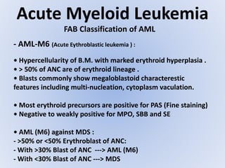 Acute Myeloid Leukemia
FAB Classification of AML
- AML-M6 (Acute Eythroblastic leukemia ) :
• Hypercellularity of B.M. with marked erythroid hyperplasia .
• > 50% of ANC are of erythroid lineage .
• Blasts commonly show megaloblastoid characterestic
features including multi-nucleation, cytoplasm vaculation.
• Most erythroid precursors are positive for PAS (Fine staining)
• Negative to weakly positive for MPO, SBB and SE
• AML (M6) against MDS :
- >50% or <50% Erythroblast of ANC:
- With >30% Blast of ANC ---> AML (M6)
- With <30% Blast of ANC ---> MDS
 
