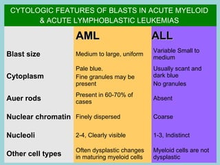 Acute leukemias aml-csbrp | PPT