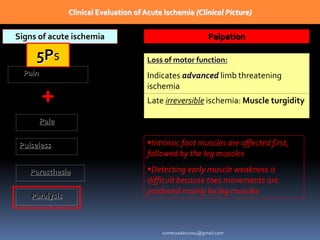 Clinical Evaluation of Acute Ischemia (Clinical Picture)
Signs of acute ischemia
5Ps
Pain: symptom
+
Pulseless
Pale
Parasthesia
Paralysis
Palpation
Loss of motor function:
Indicates advanced limb threatening
ischemia
Late irreversible ischemia: Muscle turgidity
Intrinsic foot muscles are affected first,
followed by the leg muscles
Detecting early muscle weakness is
difficult because toes movements are
produced mainly by leg muscles
sumeryadav2004@gmail.com
 