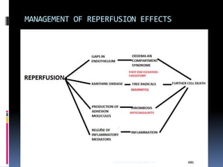 MANAGEMENT OF REPERFUSION EFFECTS
sumeryadav2004@gmail.com
 