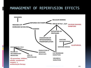 MANAGEMENT OF REPERFUSION EFFECTS
sumeryadav2004@gmail.com
 