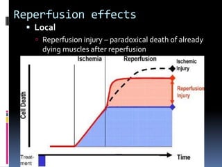 Reperfusion effects
 Local
 Reperfusion injury – paradoxical death of already
dying muscles after reperfusion
 