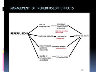 MANAGEMENT OF REPERFUSION EFFECTS
 