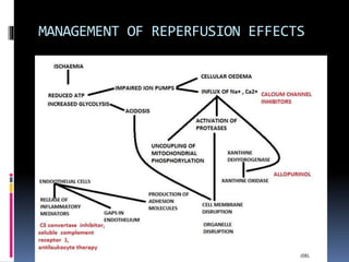 MANAGEMENT OF REPERFUSION EFFECTS
 