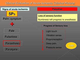 Clinical Evaluation of Acute Ischemia (Clinical Picture)

Signs of acute ischemia                   Palpation

     5Ps                    Loss of sensory function
Pain: symptom
Pain                        Numbness will progress to anesthesia

      +                          Progress of Sensory loss

     Pale                           Light touch
                                    Vibration sense
  Pulseless
                                    Proprioreception
  Parasthesia                       Deep pain
                                                            Late
                                    Pressure sense
   Paralysis
 