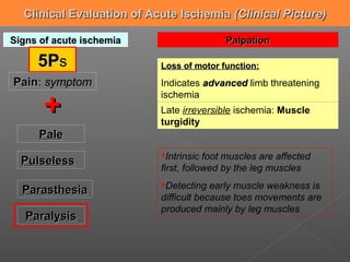 Clinical Evaluation of Acute Ischemia (Clinical Picture)

Signs of acute ischemia                   Palpation

     5Ps                   Loss of motor function:
Pain: symptom
Pain                       Indicates advanced limb threatening

      +
                           ischemia
                           Late irreversible ischemia: Muscle
                           turgidity
     Pale
                           Intrinsic foot muscles are affected
  Pulseless
                           first, followed by the leg muscles
                           Detecting early muscle weakness is
  Parasthesia
                           difficult because toes movements are
                           produced mainly by leg muscles
   Paralysis
 