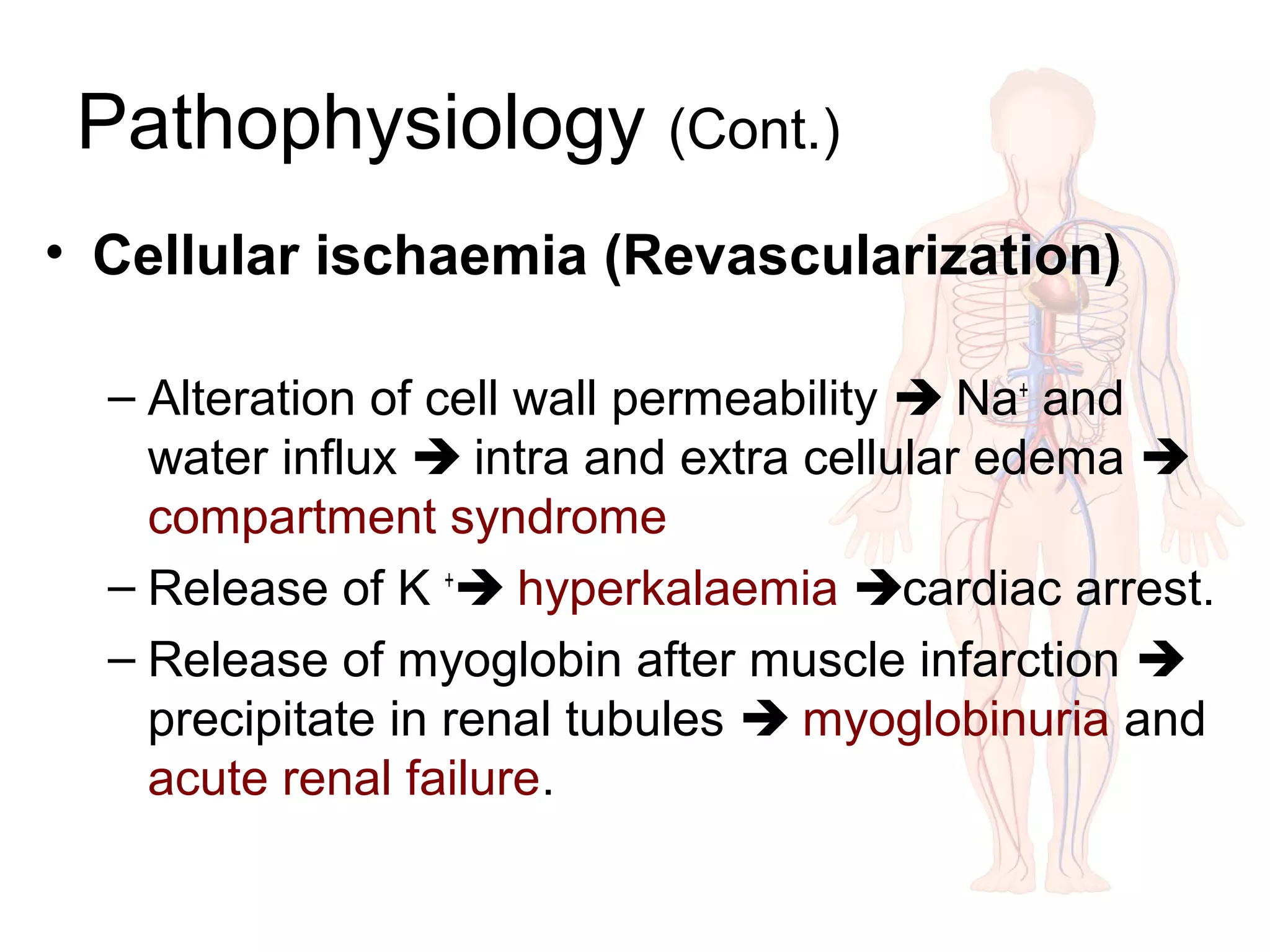 • Cellular ischaemia (Revascularization)
– Alteration of cell wall permeability  Na+
and
water influx  intra and extra cellular edema 
compartment syndrome
– Release of K +
 hyperkalaemia cardiac arrest.
– Release of myoglobin after muscle infarction 
precipitate in renal tubules  myoglobinuria and
acute renal failure.
Pathophysiology (Cont.)
 