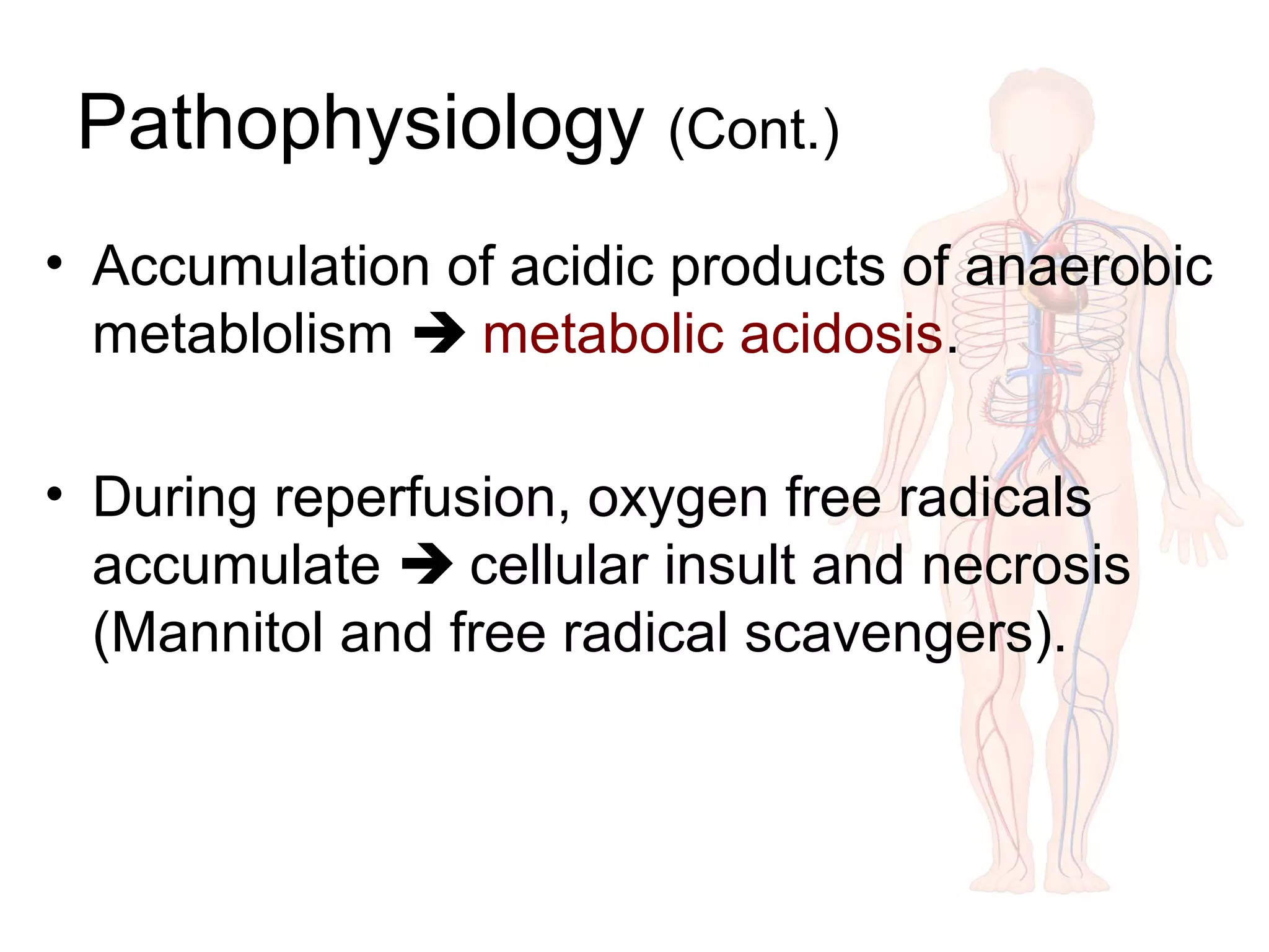 Pathophysiology (Cont.)
• Accumulation of acidic products of anaerobic
metablolism  metabolic acidosis.
• During reperfusion, oxygen free radicals
accumulate  cellular insult and necrosis
(Mannitol and free radical scavengers).
 