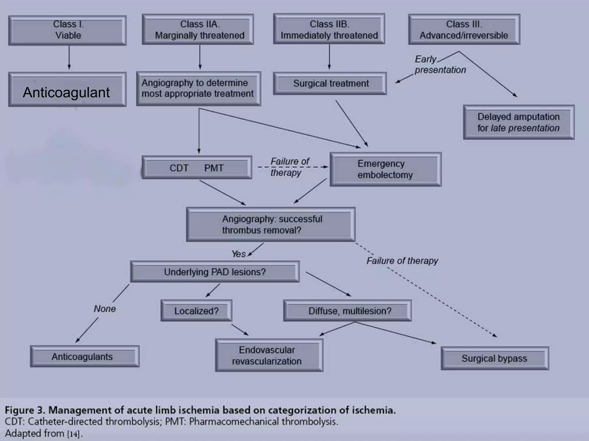 Acute limb ischemia (ALI) | PPTX