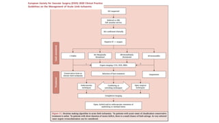 Comprehensive Overview and Management of Acute Limb Ischemia | PPTX