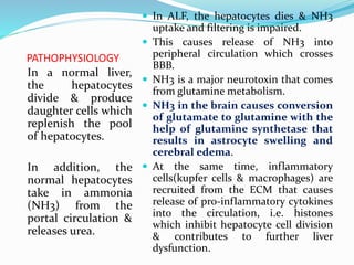 PATHOPHYSIOLOGY
In a normal liver,
the hepatocytes
divide & produce
daughter cells which
replenish the pool
of hepatocytes.
In addition, the
normal hepatocytes
take in ammonia
(NH3) from the
portal circulation &
releases urea.
 In ALF, the hepatocytes dies & NH3
uptake and filtering is impaired.
 This causes release of NH3 into
peripheral circulation which crosses
BBB.
 NH3 is a major neurotoxin that comes
from glutamine metabolism.
 NH3 in the brain causes conversion
of glutamate to glutamine with the
help of glutamine synthetase that
results in astrocyte swelling and
cerebral edema.
 At the same time, inflammatory
cells(kupfer cells & macrophages) are
recruited from the ECM that causes
release of pro-inflammatory cytokines
into the circulation, i.e. histones
which inhibit hepatocyte cell division
& contributes to further liver
dysfunction.
 
