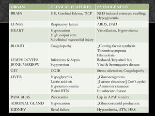 ORGAN CLINICAL FEATURES PATHOGENESIS
BRAIN HE, Cerebral Edema, ↑ICP NH3 induced astrocyte swelling,
Hypoglycemia
LUNGS Respiratory failure ARDS, DAD
HEART Hypotension
High output state
Subclinical myocardial injury
Vasodilation, Hypovolemia
BLOOD
LYMPHOCYTES
BONE MARROW
Coagulopathy
Infections & Sepsis
Suppression
↓Clotting factor synthesis
Thrombocytopenia
Fibrinolysis
Reduced/Impaired fxn
Viral & Seronegative disease
GIT UGIB Stress ulceration, Coagulopathy
LIVER Hypoglycemia
Lactic acidosis
Hyperammonemia
Portal HTN
↓Gluconeogenesis
↓Lactate clearance(↓Cori’s cycle)
↓Ammonia clearance
In subacute disease
PANCREAS Pancreatitis Esp in APAP toxicity
ADRENAL GLAND Hypotension ↓Glucocorticoid production
KIDNEY Renal failure Hypovelemia, ATN, HRS
 