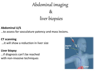 Abdominal imaging
&
liver biopsies
Abdominal U/S
…to assess for vasculature patency and mass lesions.
CT scanning
…it will show a reduction in liver size
Liver biopsy
…if diagnosis can’t be reached
with non-invasive techniques
 
