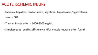 ACUTE ISCHEMIC INJURY
• Ischemic hepatitis: cardiac arrest; significant hypotension/hypovolemia;
severe CHF
• Transaminases often > 1000-2000 mg/dL;
• Simultaneous renal insufficiency and/or muscle necrosis often found
 