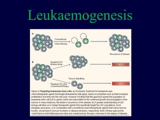 Leukaemogenesis
 