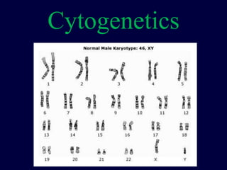 Cytogenetics
 