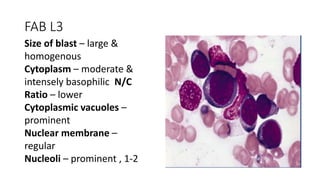 FAB L3
Size of blast – large &
homogenous
Cytoplasm – moderate &
intensely basophilic N/C
Ratio – lower
Cytoplasmic vacuoles –
prominent
Nuclear membrane –
regular
Nucleoli – prominent , 1-2
 