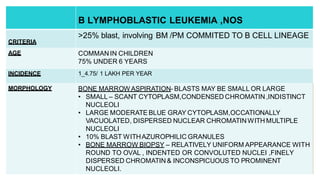 B-LYMPHOBLASTIC LEUKEMIA, NOS
B LYMPHOBLASTIC LEUKEMIA ,NOS
CRITERIA
>25% blast, involving BM /PM COMMITED TO B CELL LINEAGE
AGE COMMAN IN CHILDREN
75% UNDER 6 YEARS
INCIDENCE 1_4.75/ 1 LAKH PER YEAR
MORPHOLOGY BONE MARROW ASPIRATION- BLASTS MAY BE SMALL OR LARGE
• SMALL – SCANT CYTOPLASM,CONDENSED CHROMATIN,INDISTINCT
NUCLEOLI
• LARGE MODERATE BLUE GRAY CYTOPLASM,OCCATIONALLY
VACUOLATED, DISPERSED NUCLEAR CHROMATINWITH MULTIPLE
NUCLEOLI
• 10% BLAST WITHAZUROPHILIC GRANULES
• BONE MARROW BIOPSY – RELATIVELY UNIFORM APPEARANCE WITH
ROUND TO OVAL , INDENTED OR CONVOLUTED NUCLEI ,FINELY
DISPERSED CHROMATIN & INCONSPICUOUS TO PROMINENT
NUCLEOLI.
 
