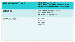 IMMUNOPHENOTYPE CD19, CD79a, cyD22 +VE
CD10,Scd22, CD24,PAX5, Tdt +VE IN MOST
CASES CD20,CD34 VARIABLE EXPRESSION
GENETICS 70% CASES WITH TCR GENE
REARRANGEMENT
OTHERS- DEL6q, 9p&12p
CYTOCHEMISTRY PAS+VE,
NSE+VE
MPO –VE,
SBB -VE
 