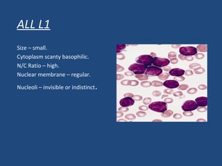 ALL L1
Size – small.
Cytoplasm scanty basophilic.
N/C Ratio – high.
Nuclear membrane – regular.
Nucleoli – invisible or indistinct.
 
