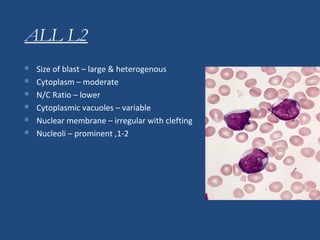 ALL L2
 Size of blast – large & heterogenous
 Cytoplasm – moderate
 N/C Ratio – lower
 Cytoplasmic vacuoles – variable
 Nuclear membrane – irregular with clefting
 Nucleoli – prominent ,1-2
 