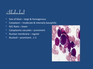 ALL L3
 Size of blast – large & homogenous
 Cytoplasm – moderate & intensely basophilic
 N/C Ratio – lower
 Cytoplasmic vacuoles – prominent
 Nuclear membrane – regular
 Nucleoli – prominent , 1-2
 