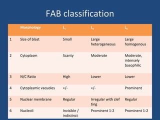 FAB classification
Morphology L1 L2 L3
1 Size of blast Small Large
heterogeneous
Large
homogenous
2 Cytoplasm Scanty Moderate Moderate,
intensely
basophilic
3 N/C Ratio High Lower Lower
4 Cytoplasmic vacuoles +/- +/- Prominent
5 Nuclear membrane Regular Irregular with clef
ting
Regular
6 Nucleoli Invisible /
indistinct
Prominent 1-2 Prominent 1-2
 