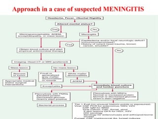 Approach in a case of suspected MENINGITIS
 