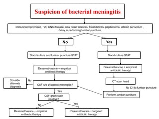 Suspicion of bacterial meningitis
Immunocompromised, H/O CNS disease, new onset seizures, focal deficits, papilledema, altered sensorium ,
delay in performing lumbar puncture.
Blood culture STAT
Dexamethasone + empirical
antibiotic therapy
CT scan head
Perform lumbar puncture
No C/I to lumbar puncture
Yes
No
Blood culture and lumbar puncture STAT
Dexamethasone + empirical
antibiotic therapy
CSF c/w pyogenic meningitis?
Consider
alternate
diagnosis
No
Yes
CSF gram stain
positive?
Dexamethasone + empirical
antibiotic therapy
Dexamethasone + targeted
antibiotic therapy
No Yes
 