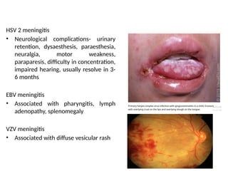 HSV 2 meningitis
• Neurological complications- urinary
retention, dysaesthesis, paraesthesia,
neuralgia, motor weakness,
paraparesis, difficulty in concentration,
impaired hearing, usually resolve in 3-
6 months
EBV meningitis
• Associated with pharyngitis, lymph
adenopathy, splenomegaly
VZV meningitis
• Associated with diffuse vesicular rash
 
