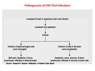 Pathogenesis of CNS Viral infections
 