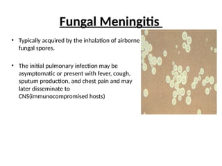 • Typically acquired by the inhalation of airborne
fungal spores.
• The initial pulmonary infection may be
asymptomatic or present with fever, cough,
sputum production, and chest pain and may
later disseminate to
CNS(immunocompromised hosts)
Fungal Meningitis
 