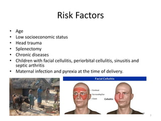 Risk Factors
• Age
• Low socioeconomic status
• Head trauma
• Splenectomy
• Chronic diseases
• Children with facial cellulitis, periorbital cellulitis, sinusitis and
septic arthritis
• Maternal infection and pyrexia at the time of delivery.
7
 