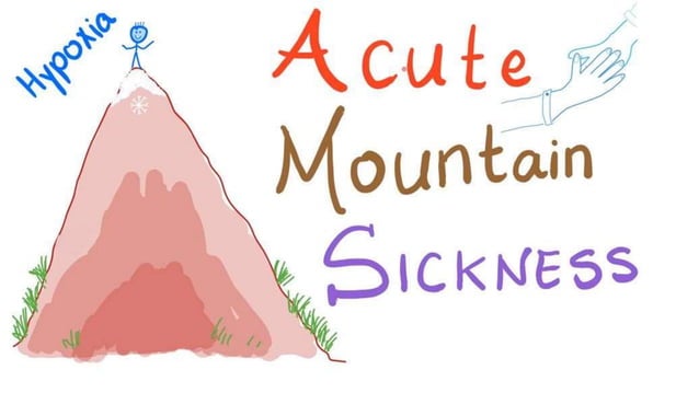 PROPHYLAXIS OF IBUPROFEN IN ACUTE MOUNTAIN SICKNESS visual data 5