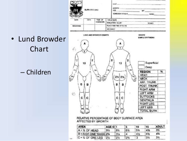 Lund And Browder Chart Child