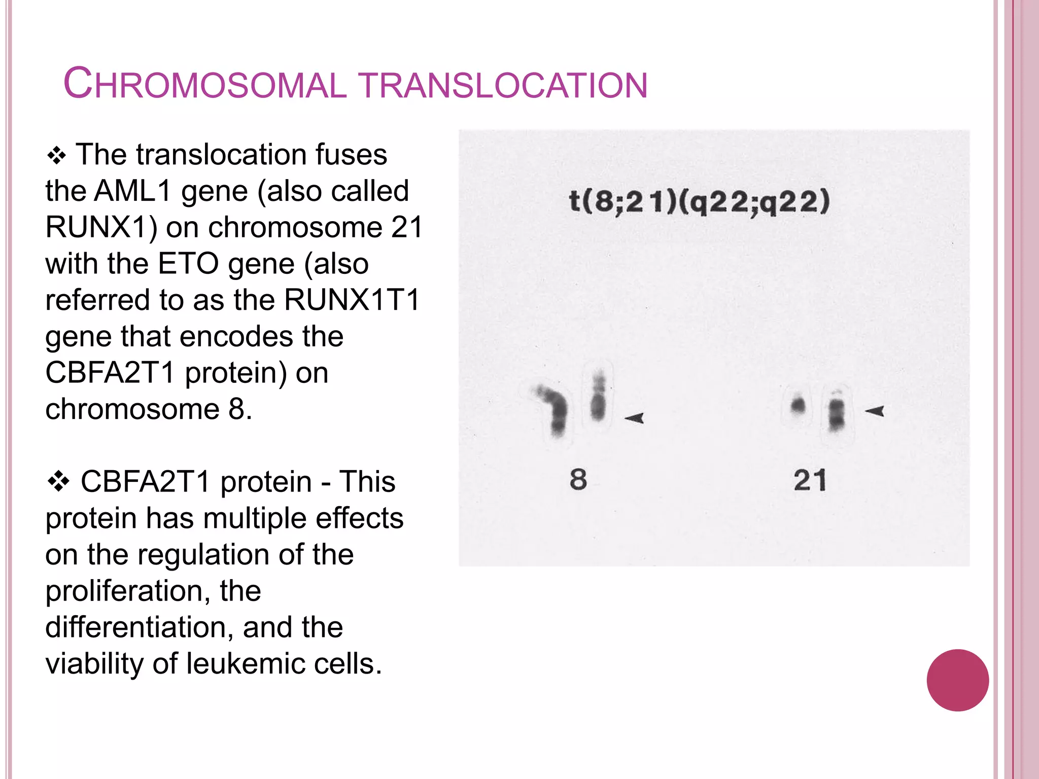 CHROMOSOMAL TRANSLOCATION
 The translocation fuses
the AML1 gene (also called
RUNX1) on chromosome 21
with the ETO gene (also
referred to as the RUNX1T1
gene that encodes the
CBFA2T1 protein) on
chromosome 8.

 CBFA2T1 protein - This
protein has multiple effects
on the regulation of the
proliferation, the
differentiation, and the
viability of leukemic cells.
 