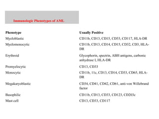 Immunologic Phenotypes of AML
Phenotype Usually Positive
Myeloblastic CD11b, CD13, CD15, CD33, CD117, HLA-DR
Myelomonocytic CD11b, CD13, CD14, CD15, CD32, CD3, HLA-
DR
Erythroid Glycophorin, spectrin, ABH antigens, carbonic
anhydrase I, HLA-DR
Promyelocytic CD13, CD33
Monocytic CD11b, 11c, CD13, CD14, CD33, CD65, HLA-
DR
Megakaryoblastic CD34, CD41, CD42, CD61, anti-von Willebrand
factor
Basophilic CD11b, CD13, CD33, CD123, CD203c
Mast cell CD13, CD33, CD117
 