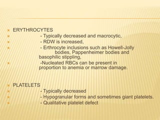  ERYTHROCYTES
 - Typically decreased and macrocytic,
 - RDW is increased,
 - Erthrocyte inclusions such as Howell-Jolly
bodies, Pappenheimer bodies and
basophilic stippling,
 -Nucleated RBCs can be present in
proportion to anemia or marrow damage.
 PLATELETS
 - Typically decreased
 - Hypogranular forms and sometimes giant platelets.
 - Qualitative platelet defect
 
