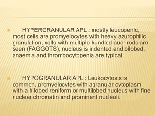  HYPERGRANULAR APL : mostly leucopenic,
most cells are promyelocytes with heavy azurophilic
granulation, cells with multiple bundled auer rods are
seen (FAGGOTS), nucleus is indented and bilobed,
anaemia and thrombocytopenia are typical.
 HYPOGRANULAR APL : Leukocytosis is
common, promyelocytes with agranular cytoplasm
with a bilobed reniform or multilobed nucleus with fine
nuclear chromatin and prominent nucleoli.
 