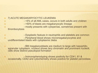  7) ACUTE MEGAKARYOCYTIC LEUKEMIA
 - <5% of all AML cases, occurs in both adults and children
 - >50% of blasts are megakaryocytic lineage
 - mostly presents with cytopenias, sometimes present with
thrombocytosis
 - Dysplastic featues in neutrophils and platelets are common
 - Peripheral blood shows micromegakaryocytres and
undifferentiated blasts with cytoplasmic blebs
 - BM megakaryoblasts are medium to large with basophilic,
agranular cytoplasm, nucleus shows lacy chromatin and prominent nucleoli,
cells show distinct pseudopod formation
 - Immunophenotyping shows positivity for CD41, 61 &
occasionally, CD42 and cytochemistry shows positive for platelet peroxidase.
 