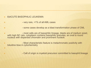  8)ACUTE BASOPHILIC LEUKEMIA
 - very rare, <1% of all AML cases
 - some cases develop as a blast transformation phase of CML
 - most cells are of basophilic lineage, blasts are of medium sized,
with high NC rato, cytoplasm contains basophilic granules, an oval to round
nucleus with dispersed chromatin and prominent nucleoli.
 - Most characteristic feature is metachromatic positivity with
toluidine blue in cytochemistry

 - Cell of origin is myeloid precursor committed to basophil lineage
 