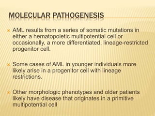 MOLECULAR PATHOGENESIS
 AML results from a series of somatic mutations in
either a hematopoietic multipotential cell or
occasionally, a more differentiated, lineage-restricted
progenitor cell.
 Some cases of AML in younger individuals more
likely arise in a progenitor cell with lineage
restrictions.
 Other morphologic phenotypes and older patients
likely have disease that originates in a primitive
multipotential cell
 