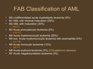FAB Classification of AML 
• M0 undifferentiated acute myeloblastic leukemia (5%) 
• M1 AML with minimal maturation (20%) 
• M2 AML with maturation (30%) 
– t(8;21) 
• M3 Acute promyelocytic leukemia (5%) 
– t(15;17) 
• M4 Acute myelomonocytic leukemia (20%) 
• M4 eos Acute myelomonocytic leukemia with eosinophilia (5%) 
– inv (16) 
• M5 Acute monocytic leukemia (10%) 
– t(9;11) 
• M6 Acute erythroid leukemia (3%) (DiGuglielmo's disease) 
• M7 Acute megakaryoblastic leukemia (3%) 
 