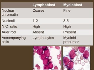 L y Mmoprhpohbolloagsty Myeloblast 
Nuclear 
chromatin 
Coarse Fine 
Nucleoli 1-2 3-5 
N:C ratio High High 
Auer rod Absent Present 
Accompanying 
Lymphocytes Myeloid 
cells 
precursor 
 