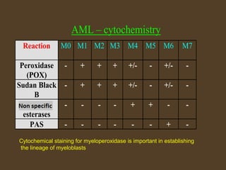 AML – cytochemistry 
Reaction 
M0 
M1 M2 M3 M4 M5 M6 M7 
Peroxidase 
(POX) 
- + + + +/- - +/- - 
Sudan Black 
B 
- + + + +/- - +/- - 
Unspecific 
esterases 
- - - - + + - - 
PAS - - - - - - + - 
Cytochemical staining for myeloperoxidase is important in establishing 
the lineage of myeloblasts 
 